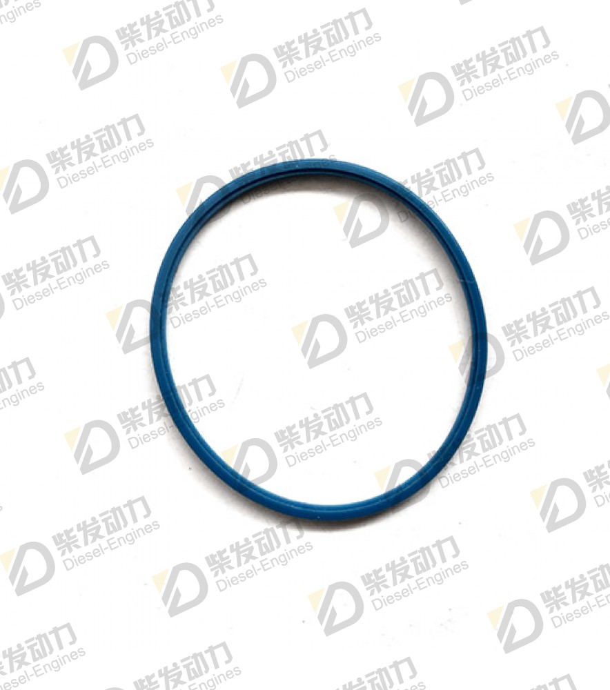 Sealing ring 1542781 